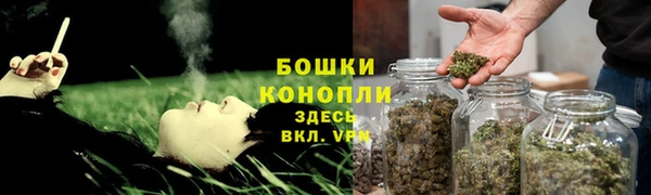 мяу мяу мука Вязьма