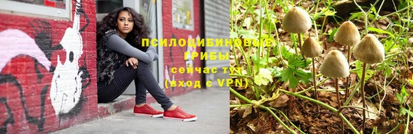 мет Вяземский