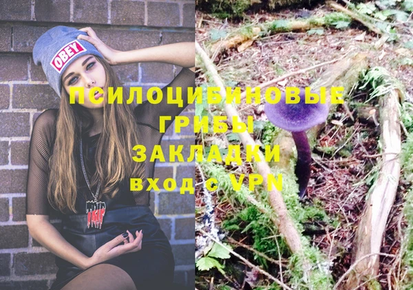 мет Вяземский