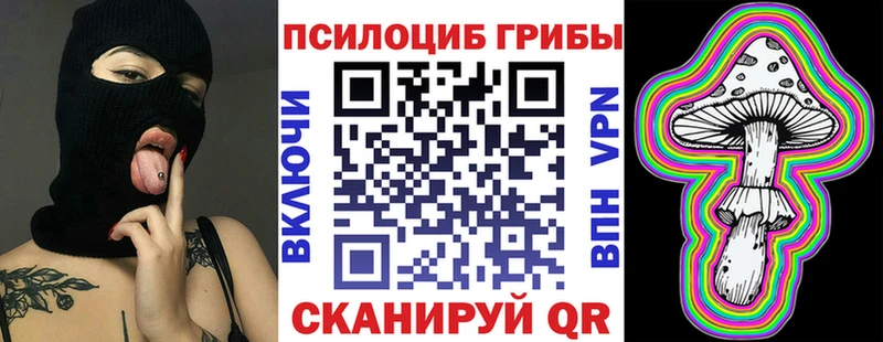 Галлюциногенные грибы GOLDEN TEACHER  Купить закладки  Великий Новгород 